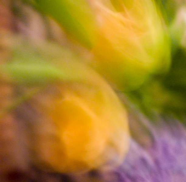 Flowers 3 182-Edit-Edit.jpg